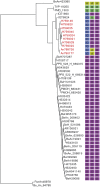Fig. 6.