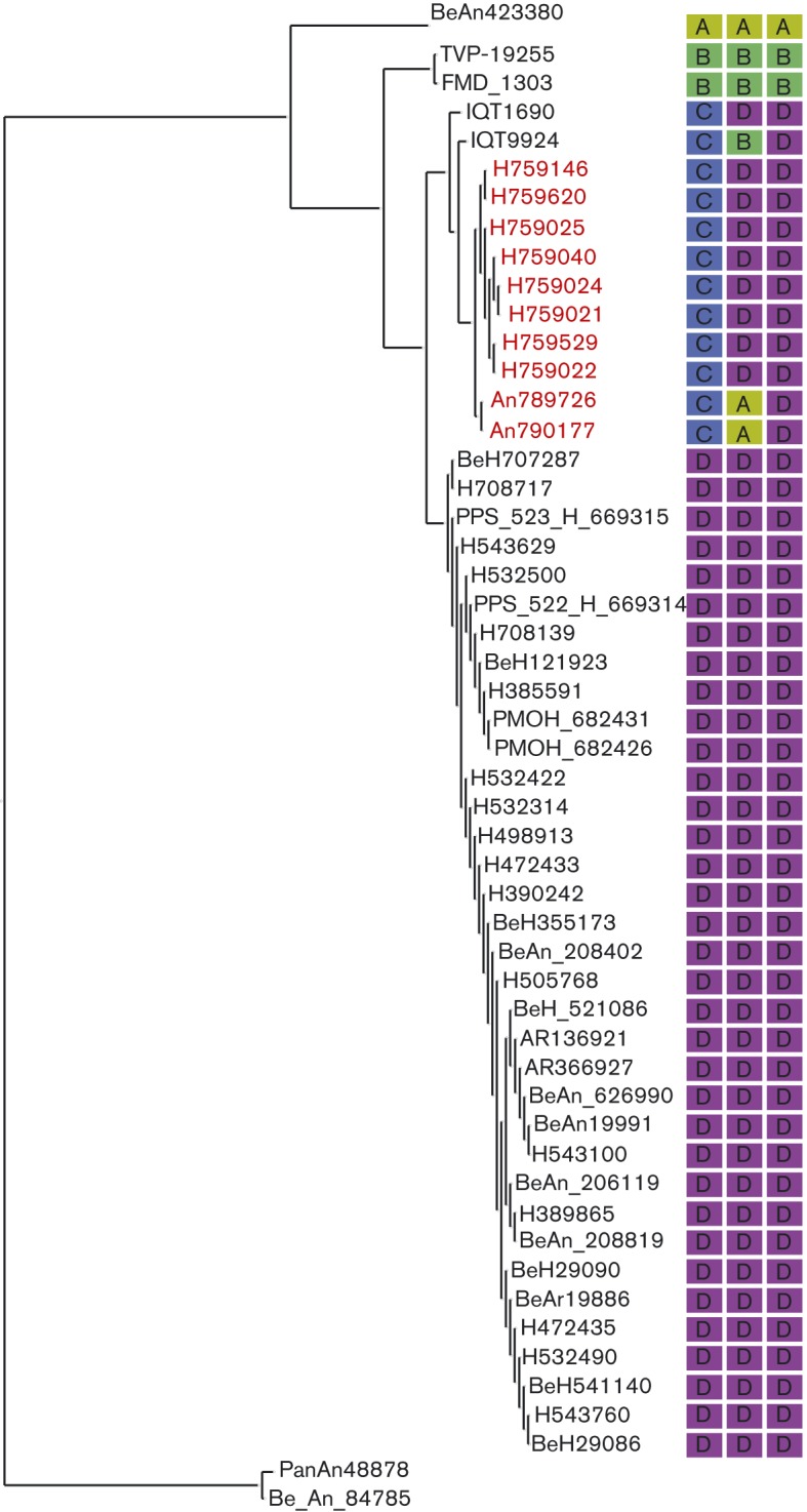 Fig. 6. 