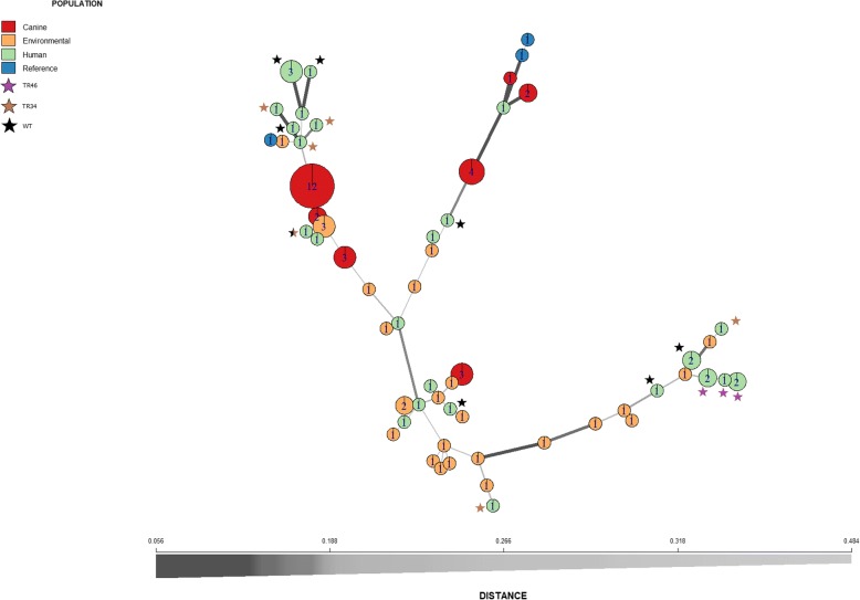 Fig. 1