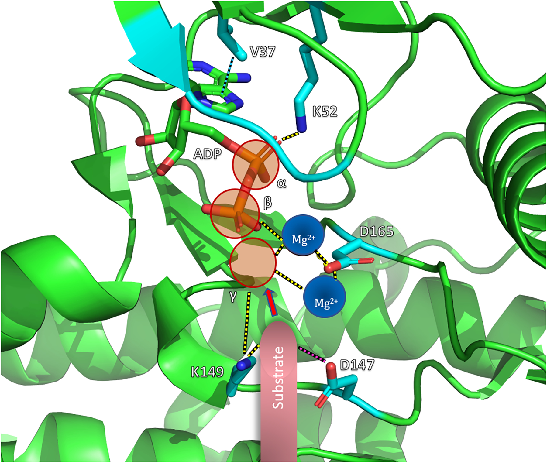 Fig. 2: