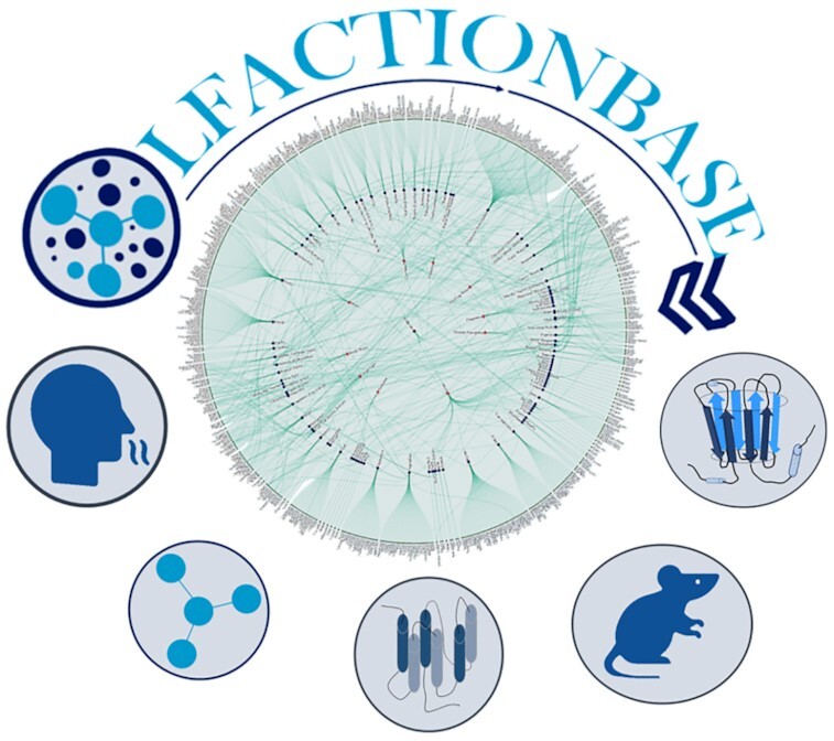 Graphical Abstract