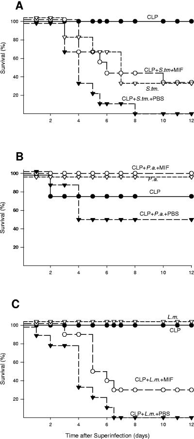 FIG. 5.