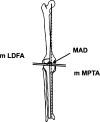 Fig. 6