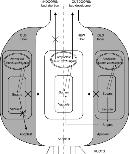 Fig. 14.