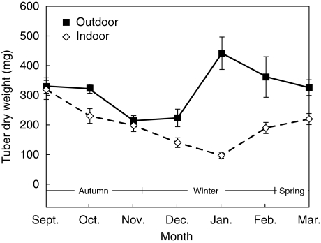 Fig. 10.