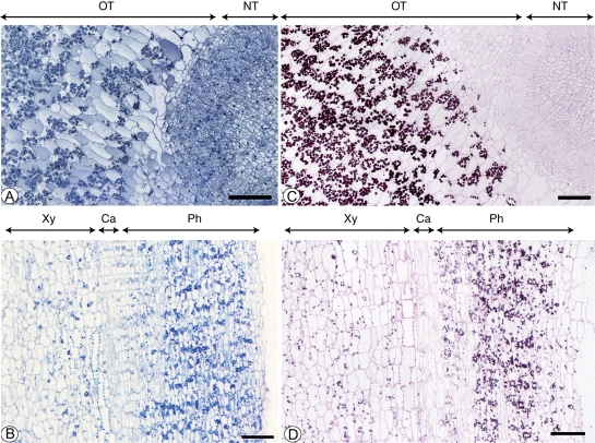 Fig. 8.