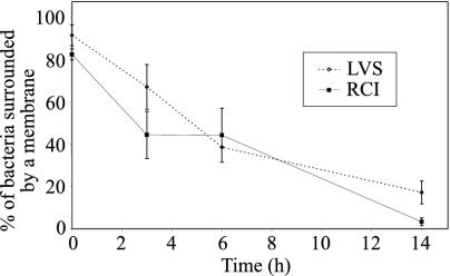 FIG. 9.