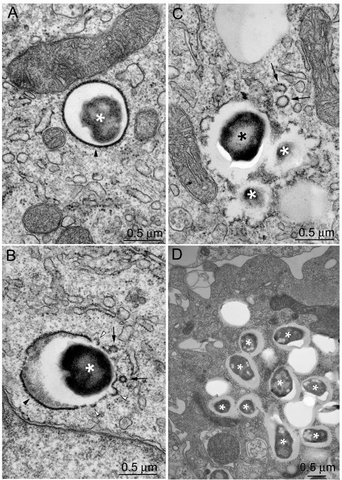 FIG. 8.