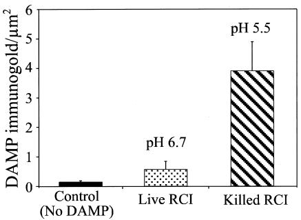 FIG. 7.