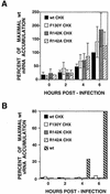 FIG. 10.