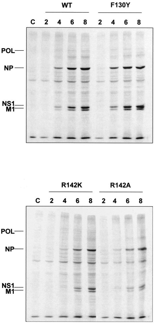 FIG. 8.