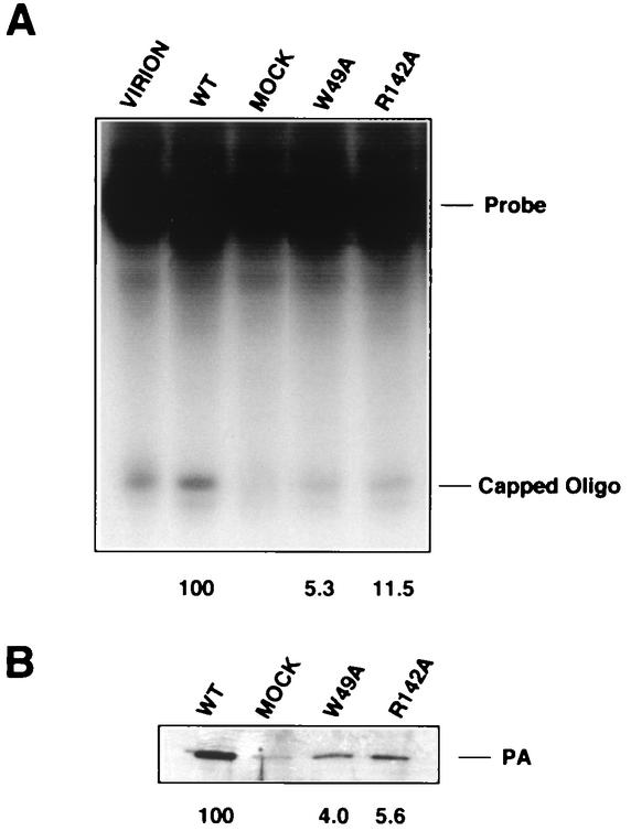 FIG. 6.