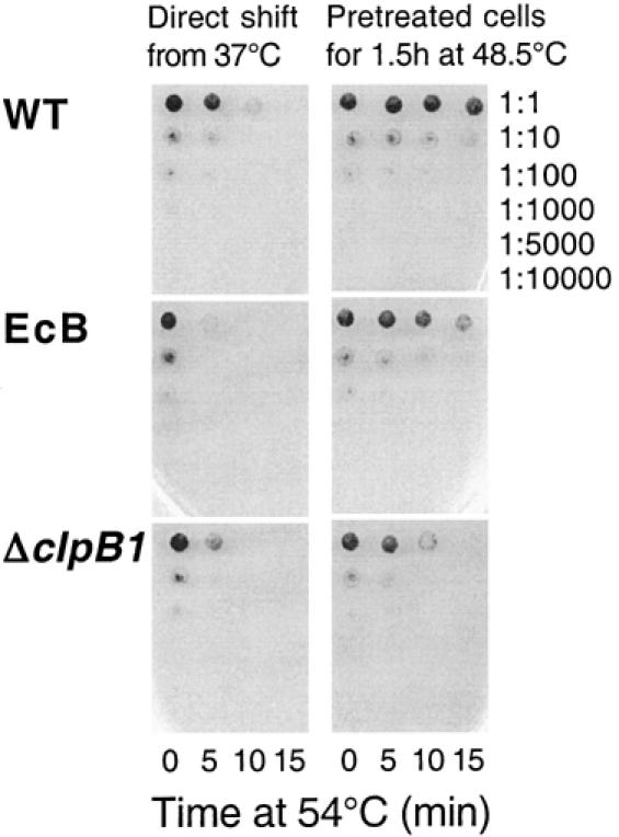 Fig 2.