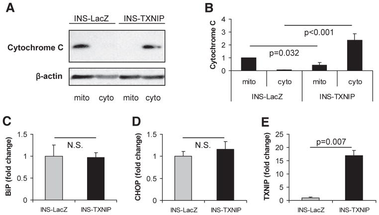 FIG. 6