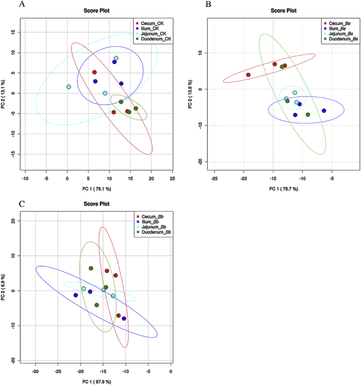 Fig. 4