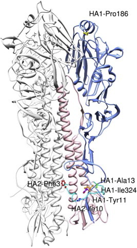 Fig. 6