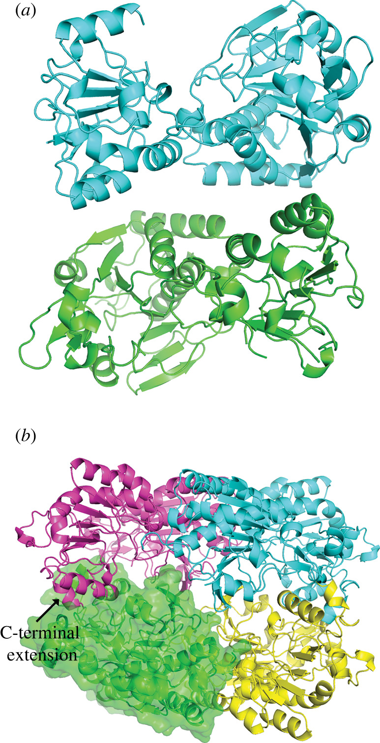 Figure 4. 