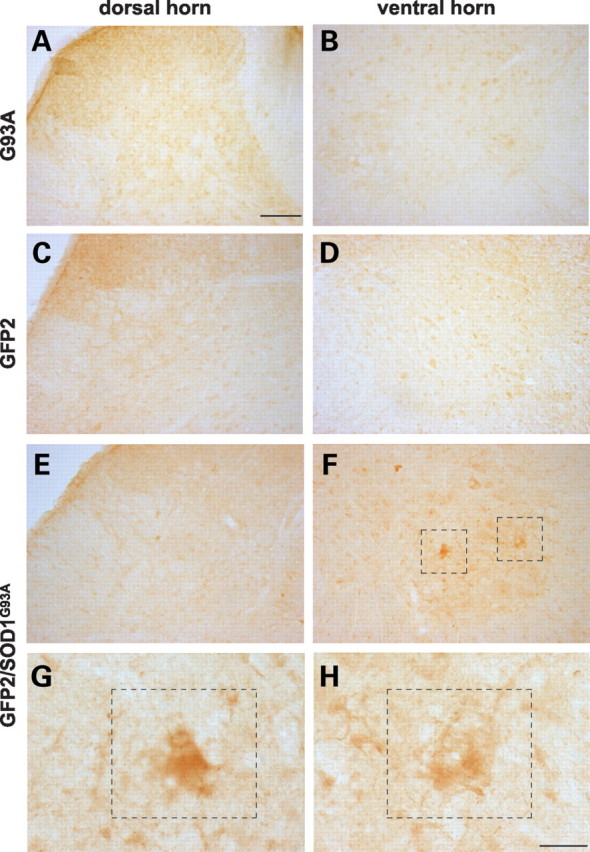 Figure 6.