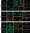 Figure 3.