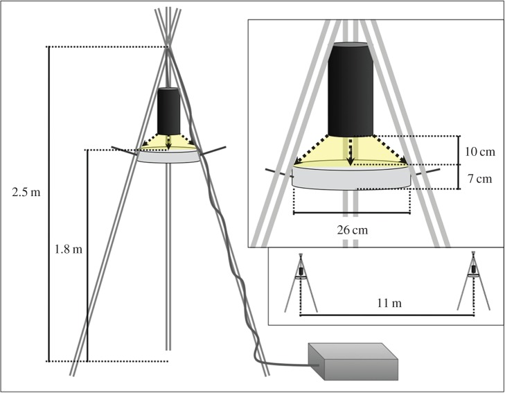 Figure 2.