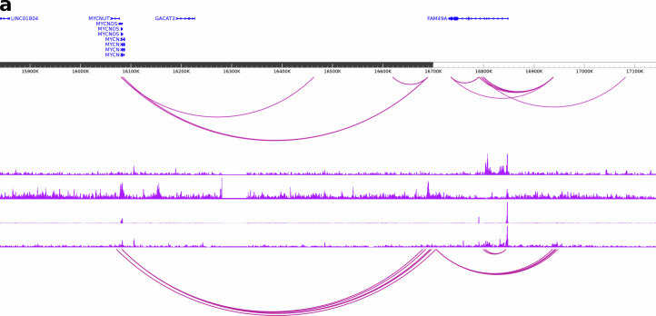 Extended Data Fig. 5