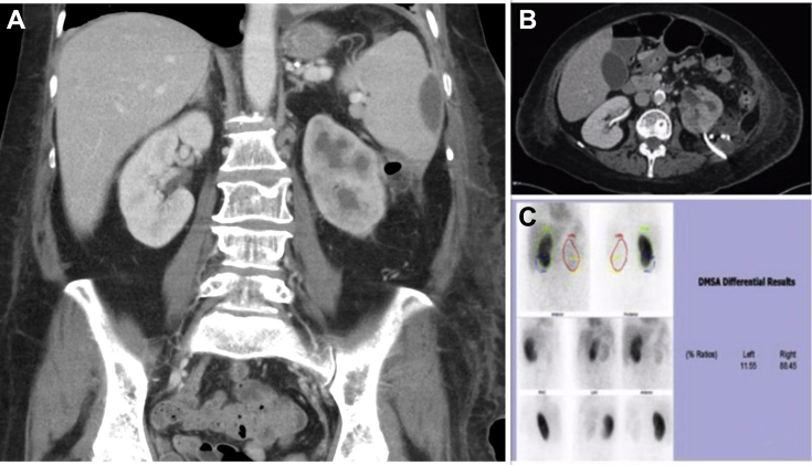 Fig. 1