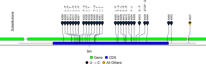 FIG 3