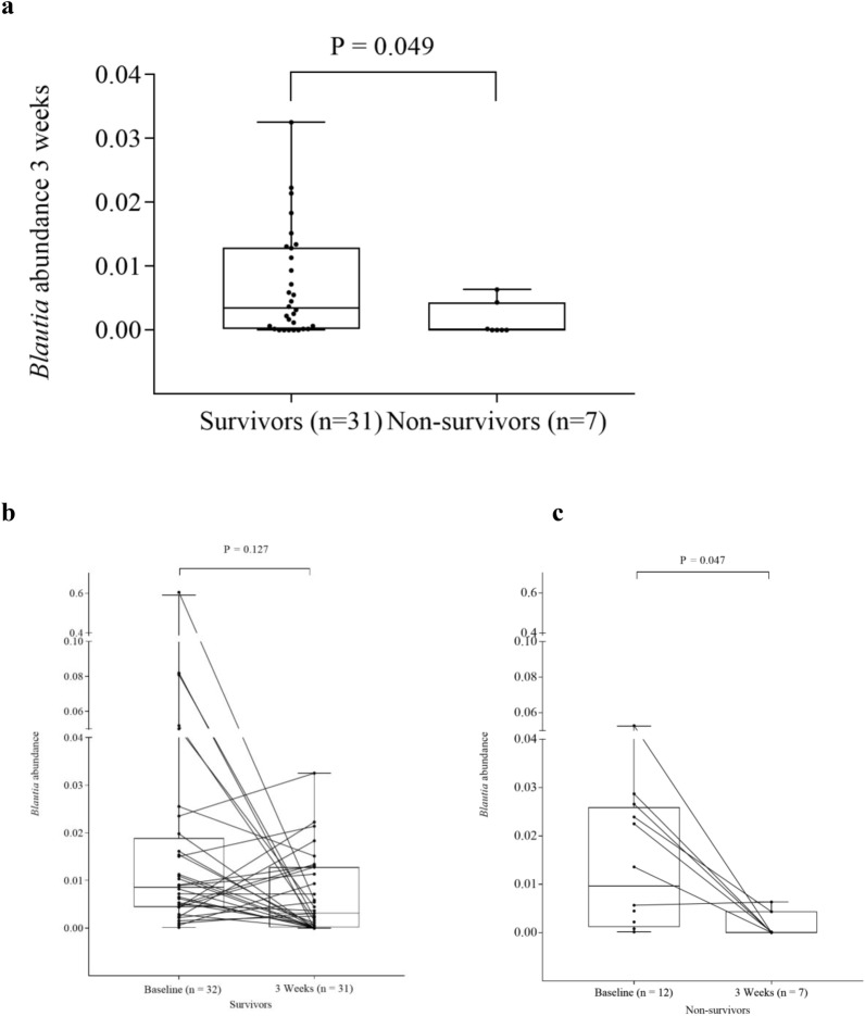 Mortality and microbial diversity after allogeneic hematopoietic stem ...