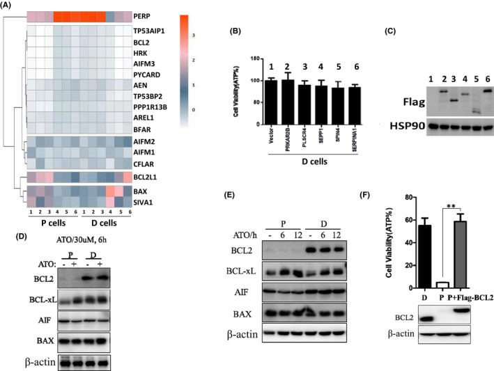 FIGURE 3