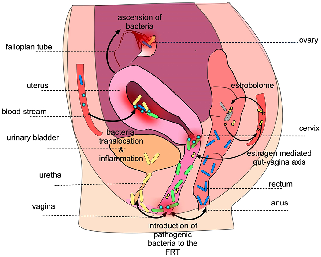 Fig. 3.