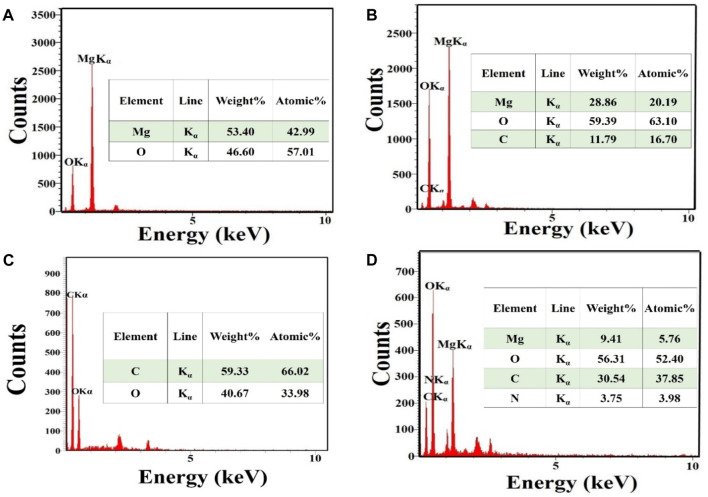 FIGURE 2