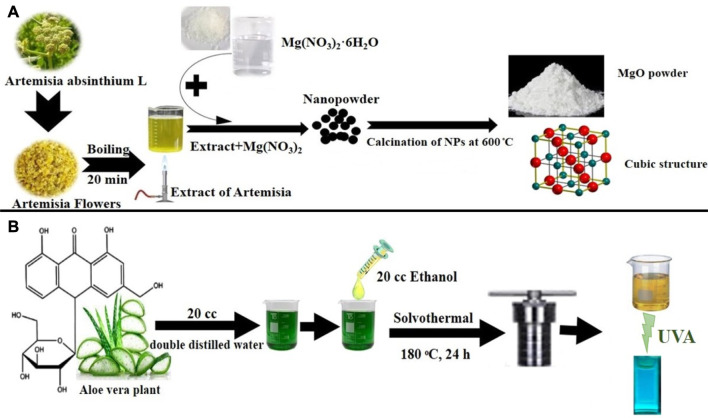 SCHEME 2