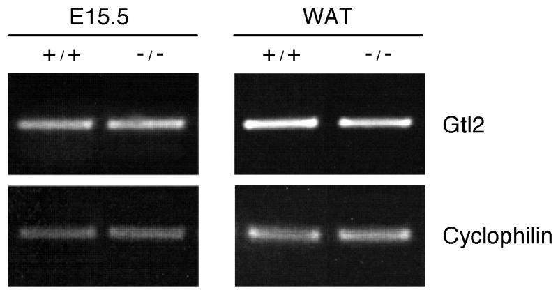 FIG. 5.