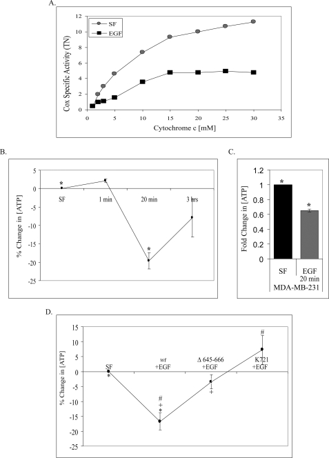 FIGURE 9.