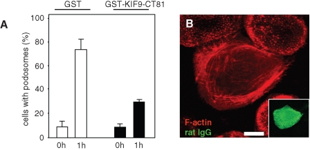 FIGURE 6: