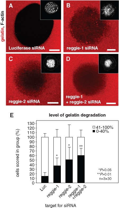 FIGURE 10: