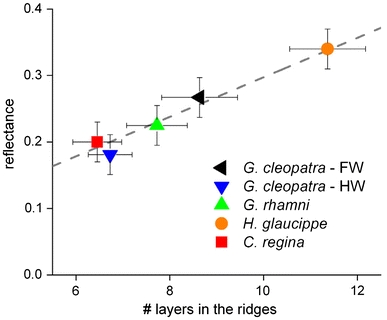 Fig. 8