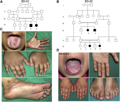 Figure 1