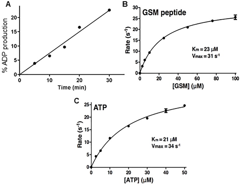 Fig 2