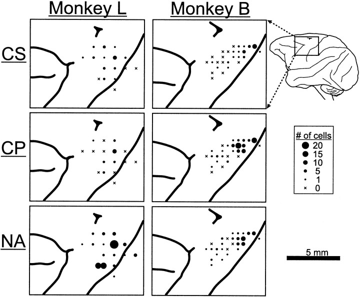 Fig. 3.