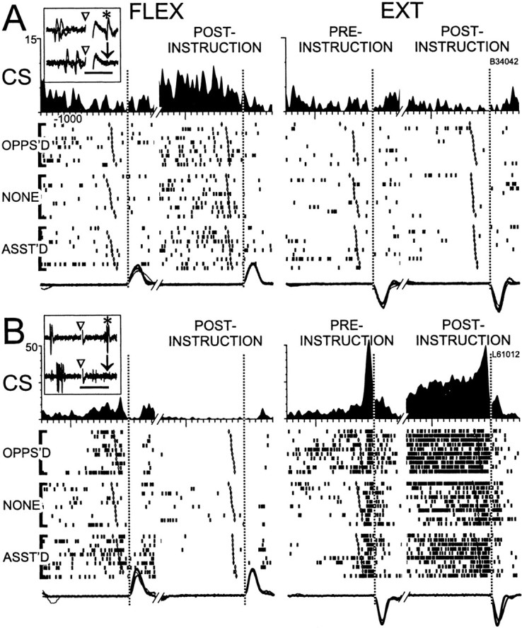 Fig. 11.