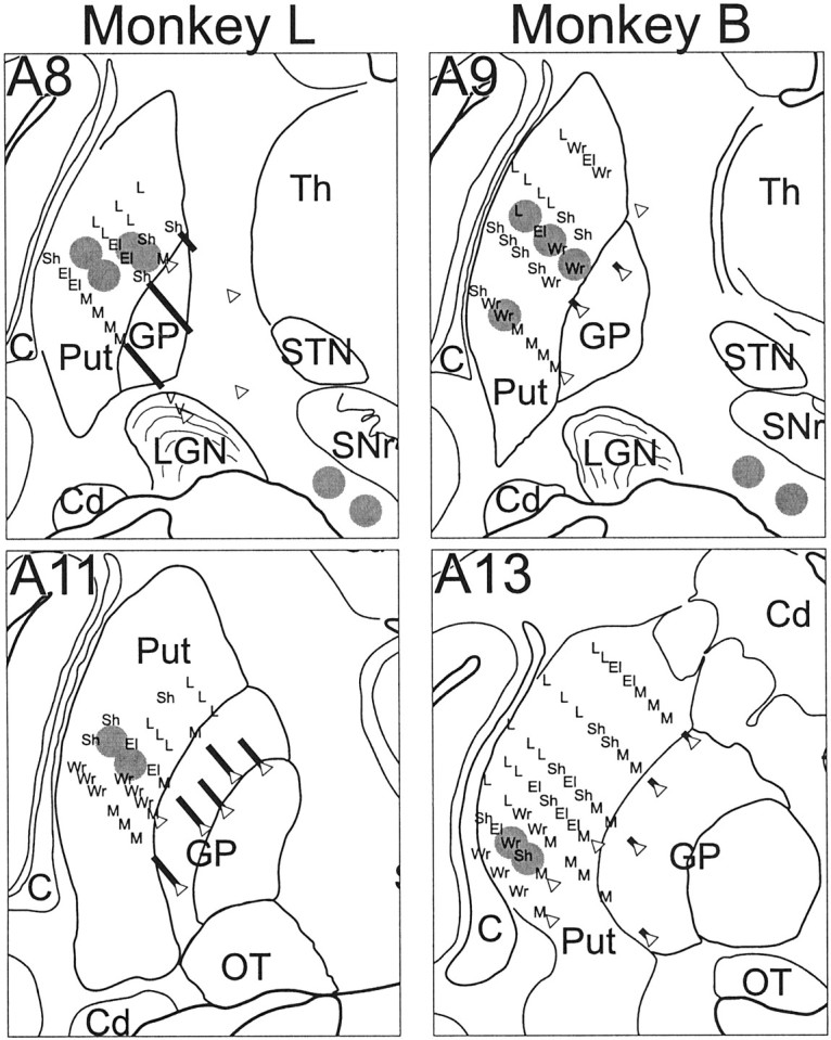 Fig. 2.