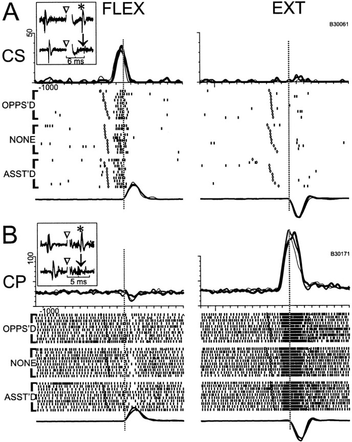 Fig. 9.