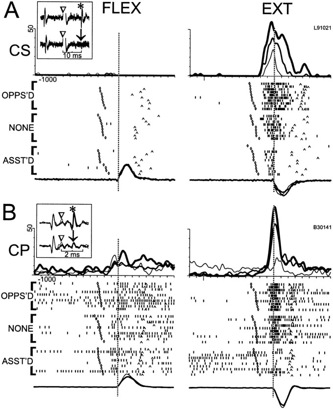 Fig. 8.