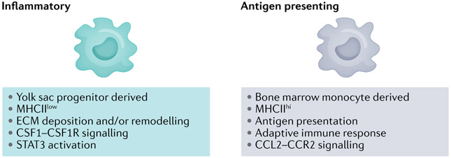 Fig. 3 ∣