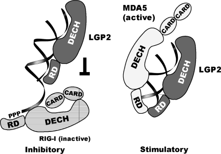 Figure 7.