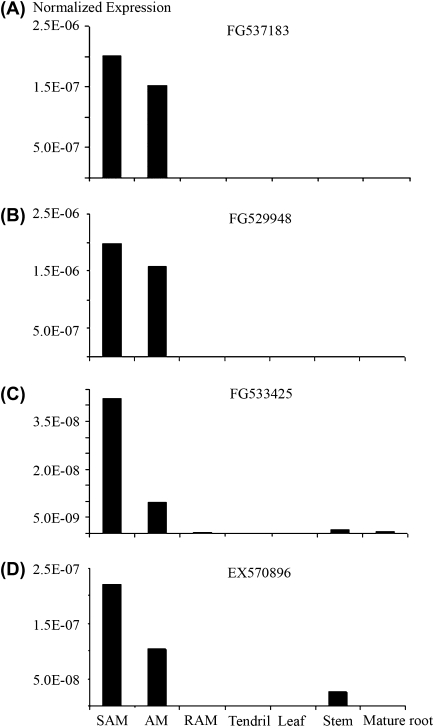 Fig. 8.