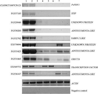 Fig. 7.