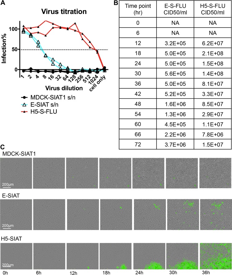 FIG 2