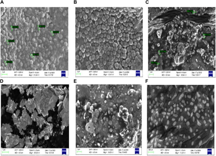 FIGURE 4